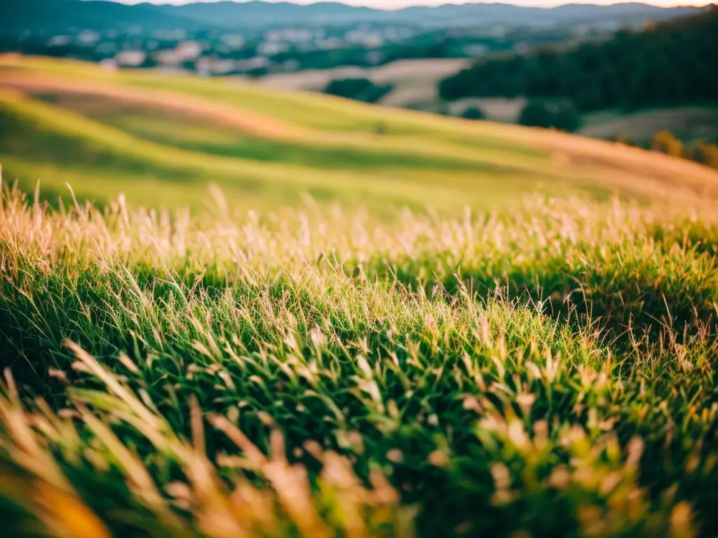 ((masterpiece, best quality, ultra-detailed)), depth of field, bokeh, normal view, sunset, soft light, hills, grassland